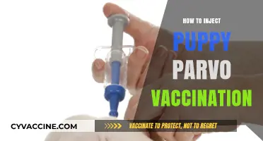 Step-by-Step Guide: Administering Puppy Parvo Vaccination at Home Safely