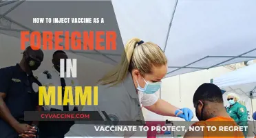 Vaccine Access in Miami: A Foreigner's Guide to Getting Inoculated