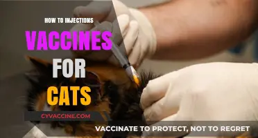 Safe Cat Vaccination: A Step-by-Step Guide to Injecting Vaccines