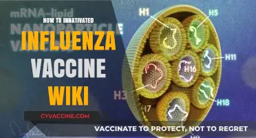 Innovating Influenza Vaccines: A Comprehensive Guide to Development and Impact