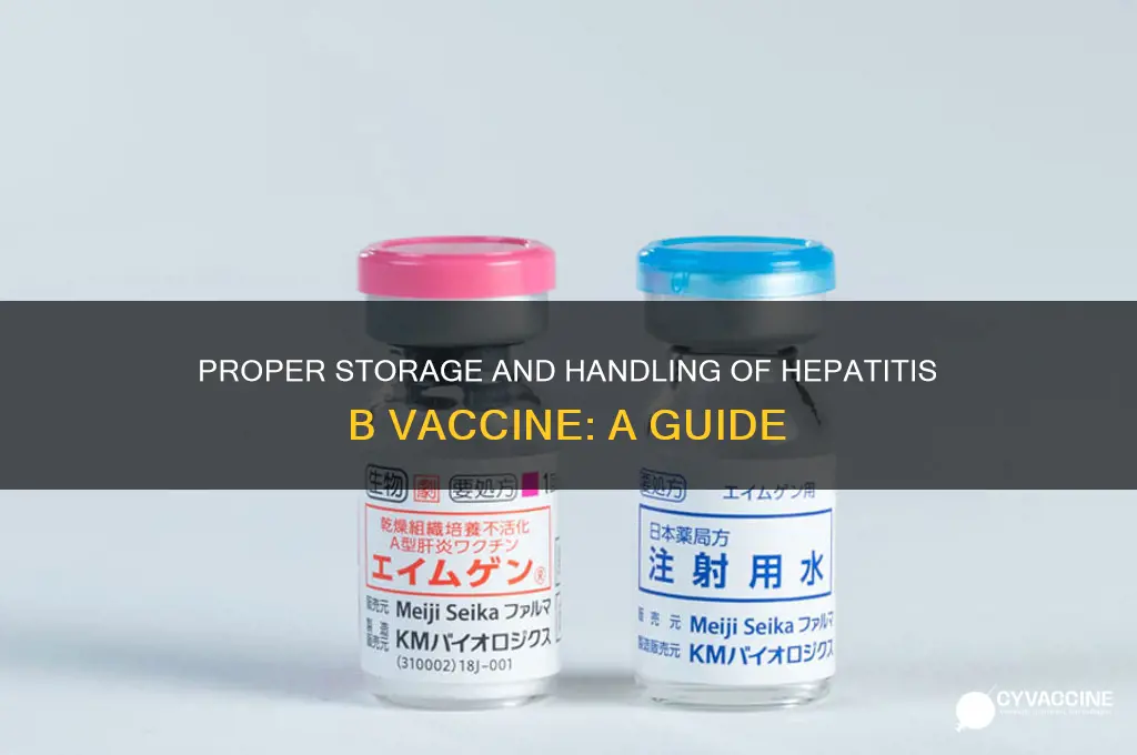 how to keep hepatitis b vaccine