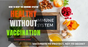 Boosting Immunity Naturally: Healthy Habits Beyond Vaccination for Optimal Health