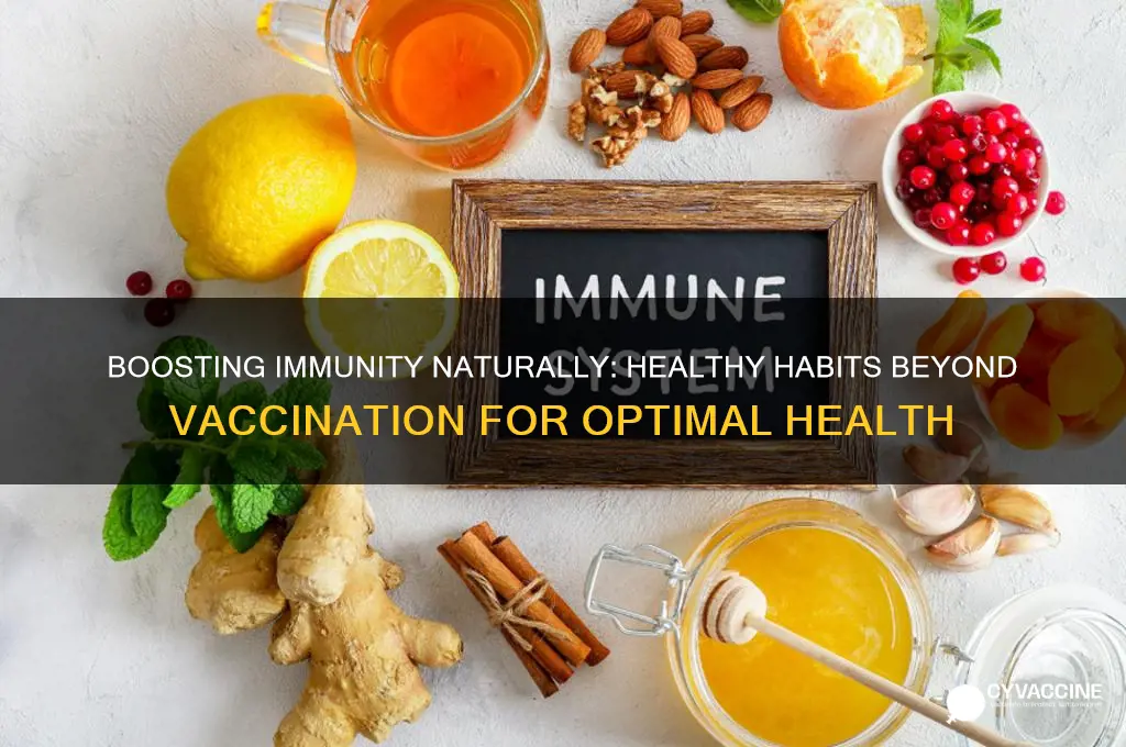 how to keep the immune system healthy without vaccination