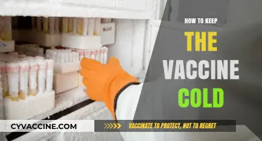 Effective Strategies for Maintaining Vaccine Cold Chain Integrity