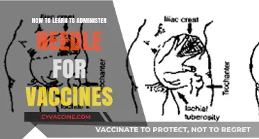 Mastering Vaccine Injections: A Step-by-Step Guide to Administering Needles Safely