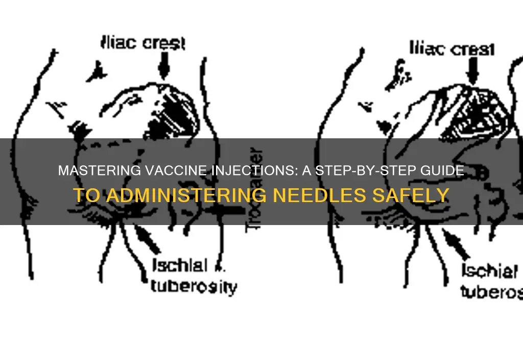 how to learn to administer needle for vaccines