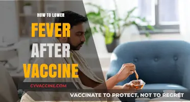 Effective Ways to Reduce Fever After Vaccination: Tips and Remedies