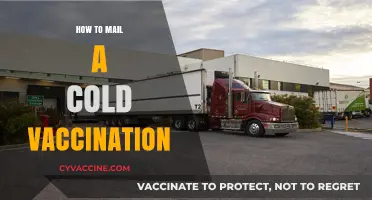 Safely Shipping Cold Vaccines: A Step-by-Step Mailing Guide