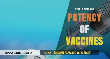 Preserving Vaccine Potency: Essential Tips for Effective Storage and Handling
