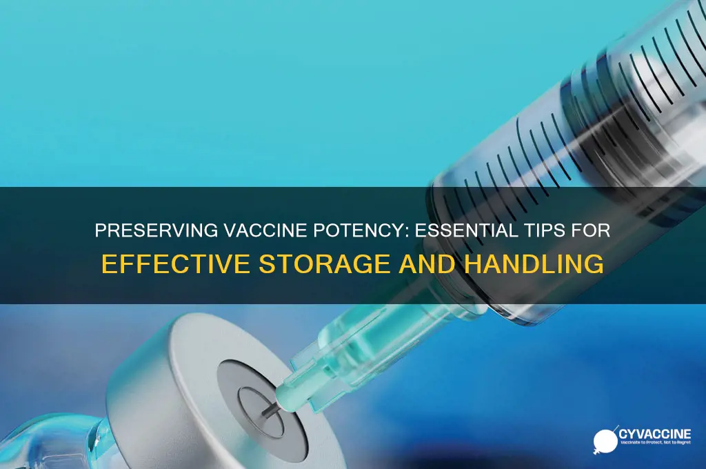 how to maintain potency of vaccines