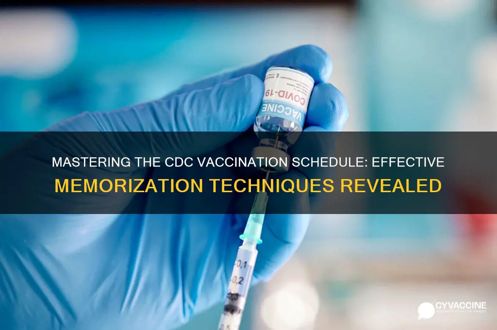 how to memorize cdc vaccination schedule