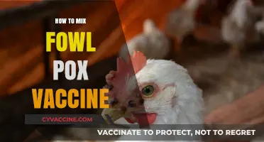 Mastering Fowl Pox Vaccine Mixing: A Step-by-Step Guide for Poultry Farmers