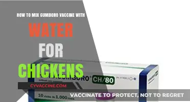 Mixing Gumboro Vaccine with Water: A Step-by-Step Guide for Chicken Farmers