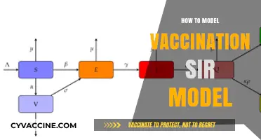Modeling Vaccination Impact: A Comprehensive Guide to the SIR Framework