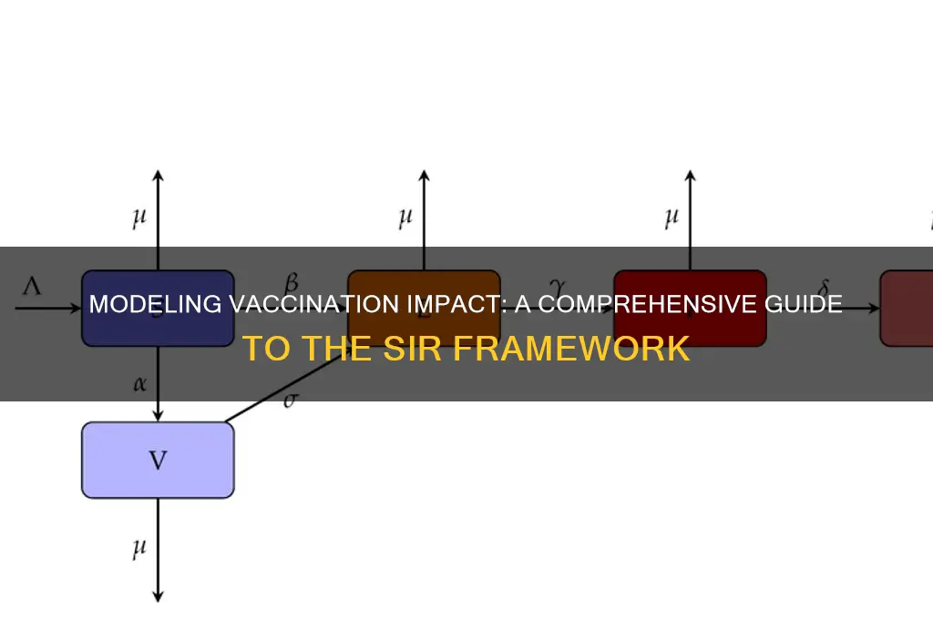 how to model vaccination sir model