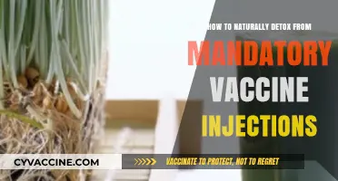 Natural Detox Strategies for Post-Vaccine Recovery and Wellness