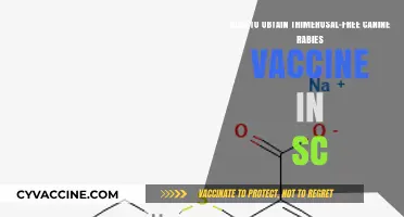 Finding Thimerosal-Free Canine Rabies Vaccines in South Carolina