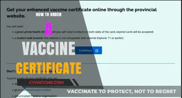 Easy Steps to Secure Your Official Vaccine Certificate Online