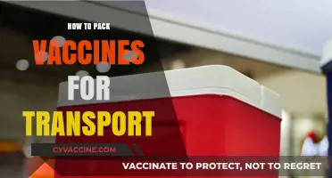 Safe Vaccine Transport: Essential Packing Tips for Effective Delivery