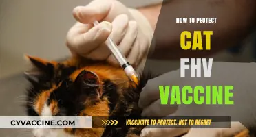 Safeguarding Your Cat: Essential Tips for FHV Vaccine Protection