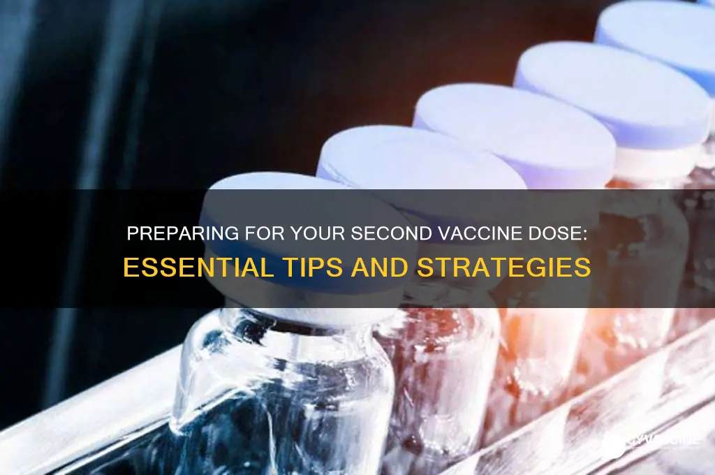 how to prepare for vaccine 2