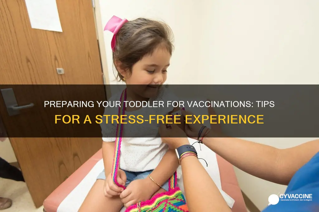 how to prepare toddler for vaccination