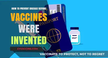 Pre-Vaccine Disease Prevention: Ancient Strategies for a Healthier Life