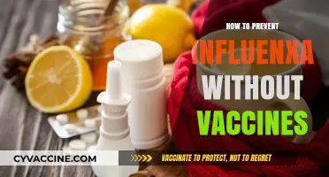 Natural Strategies to Prevent Influenza Without Vaccines: A Comprehensive Guide