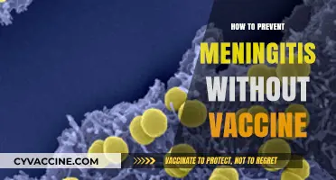 Effective Strategies to Prevent Meningitis Without Vaccination: A Comprehensive Guide