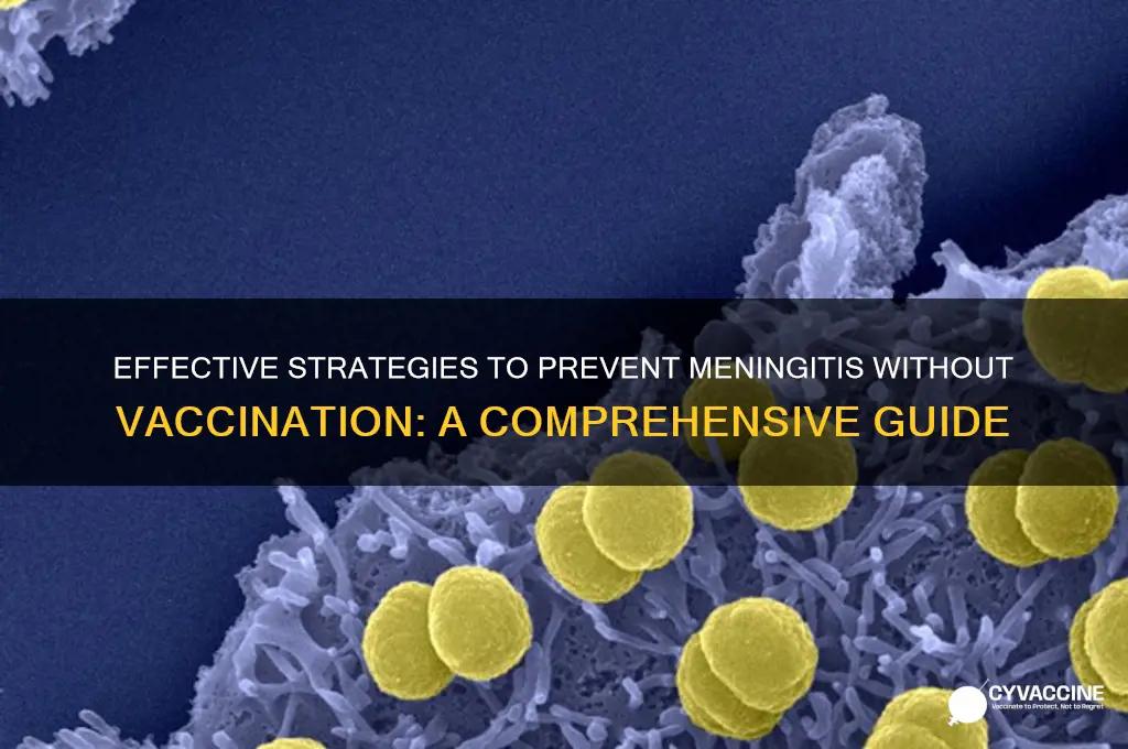 how to prevent meningitis without vaccine