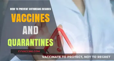Beyond Vaccines and Quarantines: Effective Strategies to Prevent Outbreaks