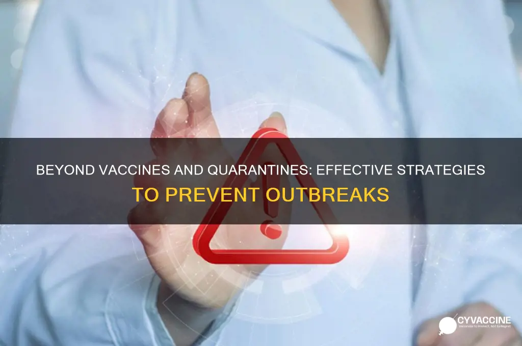 how to prevent outbreaks besides vaccines and quarantines