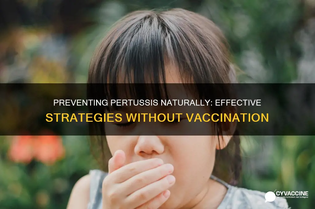 how to prevent pertussis without vaccine