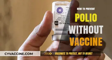 Preventing Polio Naturally: Effective Strategies Without Vaccination