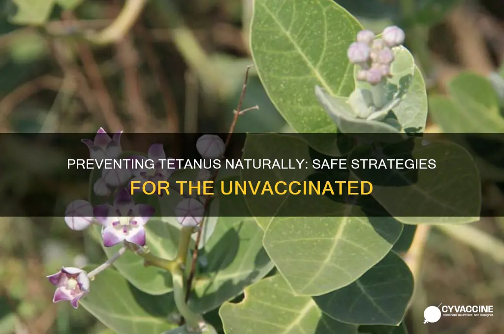 how to prevent tetanus if you don