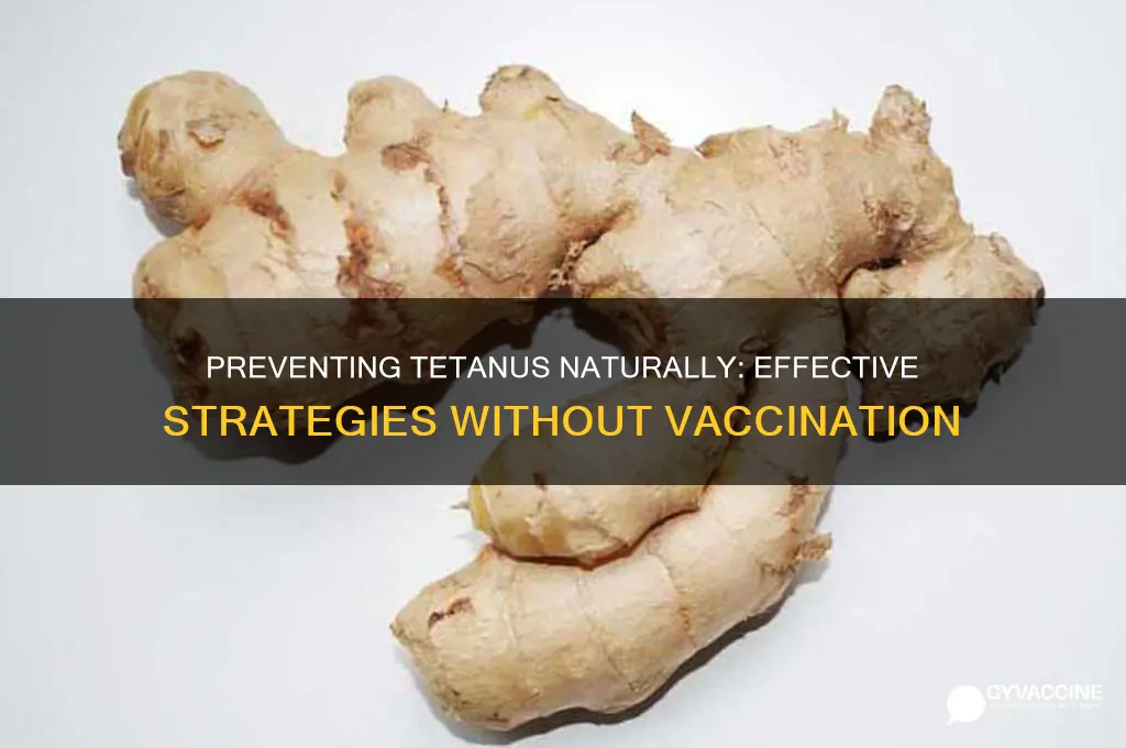 how to prevent tetanus without vaccination