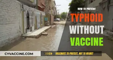 Preventing Typhoid Naturally: Effective Strategies Without Vaccination