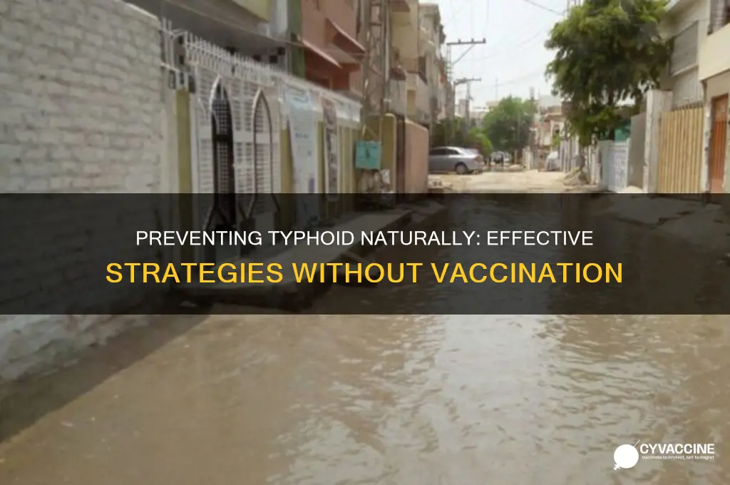 how to prevent typhoid without vaccine
