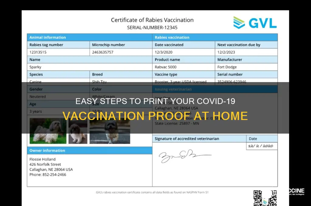 how to print proof of vaccination