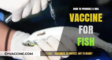 Innovative Steps to Develop Effective DNA Vaccines for Fish Health