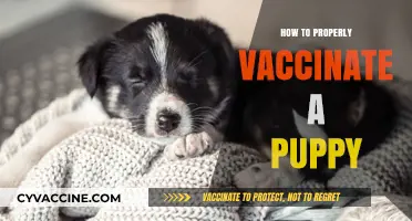 Puppy Vaccination Guide: Essential Steps for a Healthy Start