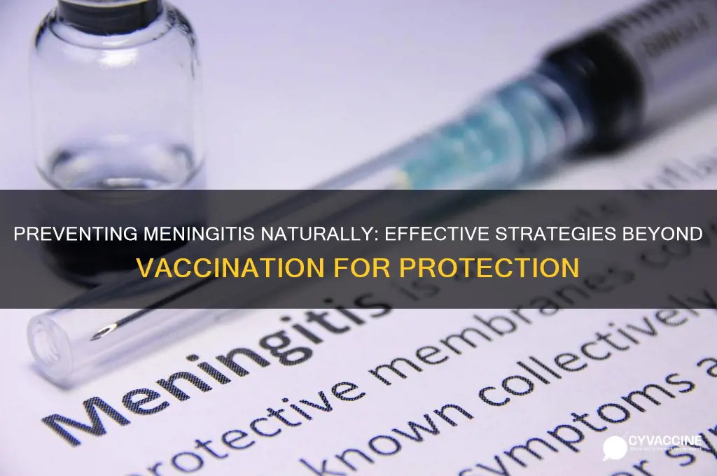 how to protect oneself from meningitis without vaccination