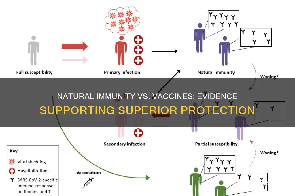 how to prove natural immunity is better than vaccines