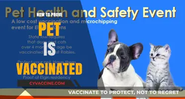 Proving Your Pet's Vaccination Status: A Step-by-Step Guide for Owners