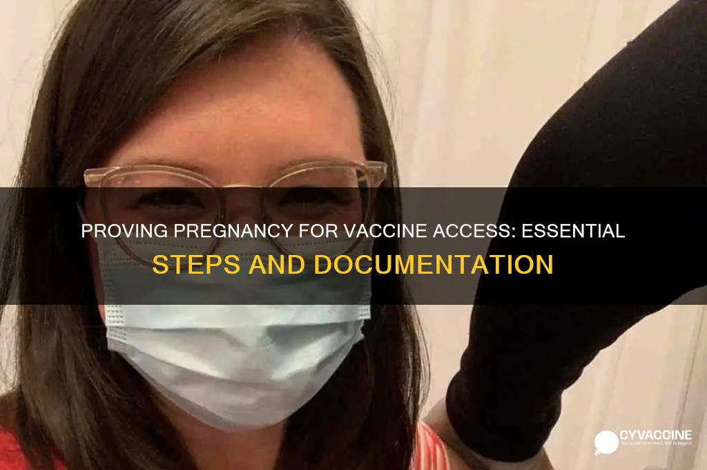 how to prove pregnancy for vaccine