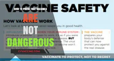 Debunking Myths: Scientific Evidence Confirms Vaccines Are Safe and Effective