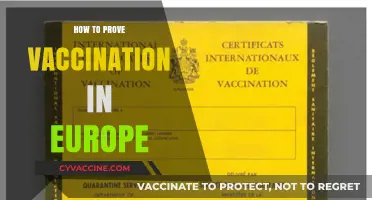 Proving Vaccination in Europe: Essential Documents and Digital Tools Guide