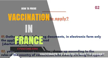 Proving Vaccination in France: A Step-by-Step Guide to Valid Documentation