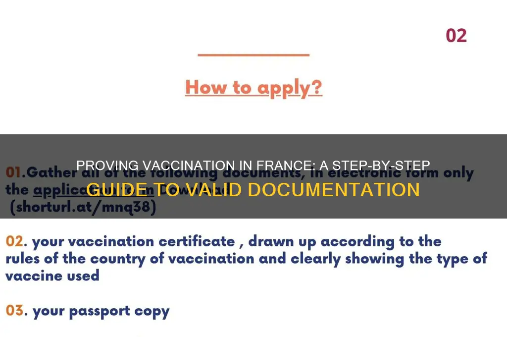 how to prove vaccination in france