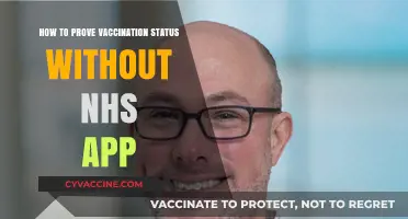 Alternative Ways to Verify Your Vaccination Status Without the NHS App